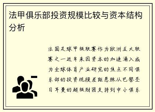 法甲俱乐部投资规模比较与资本结构分析